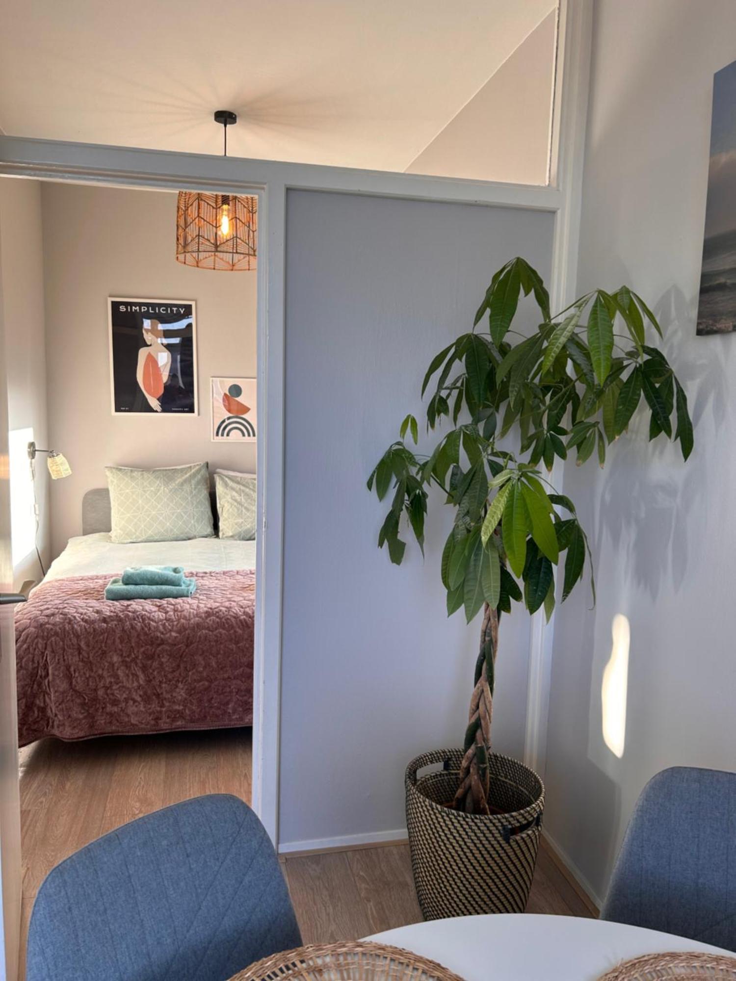 Amsterdam Beach Apartment 17, Incl Parking + Garden Zandvoort Exterior foto